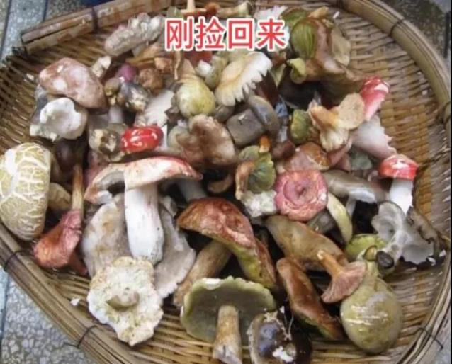 圖片2.png