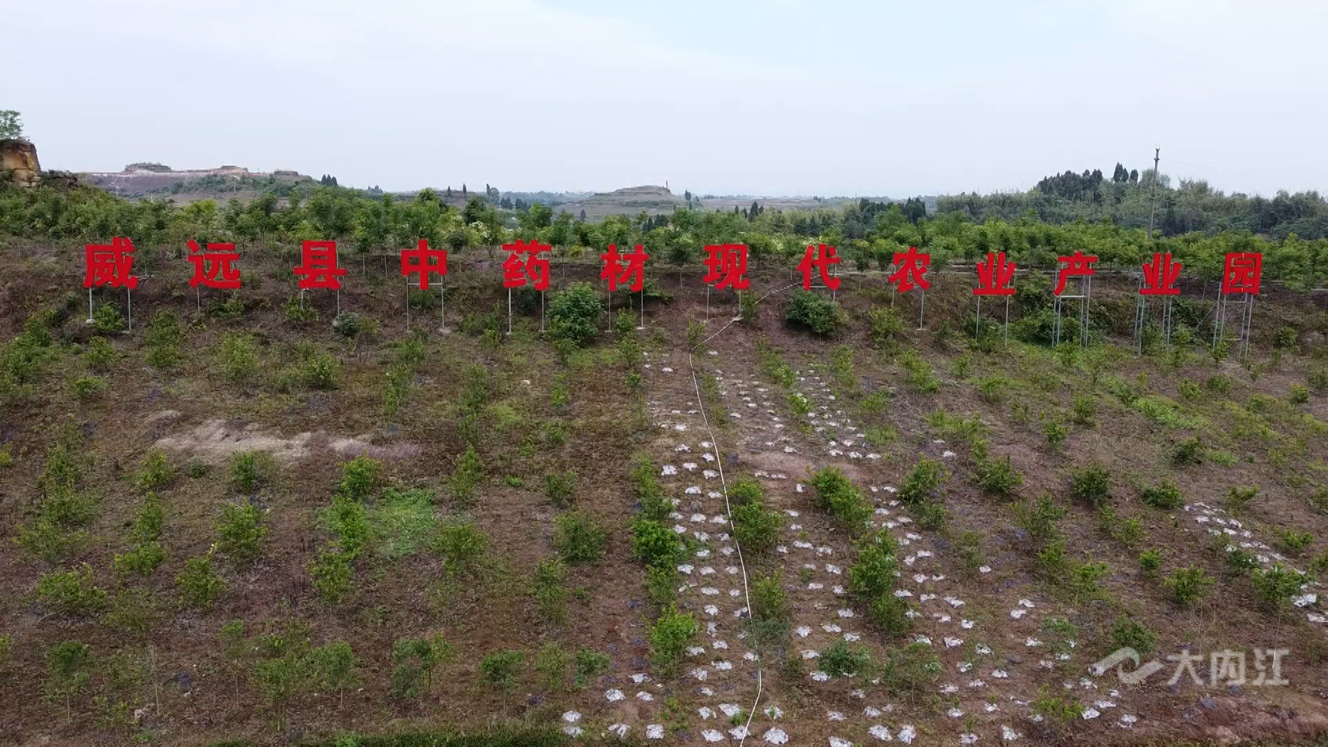 微信圖片_20210517164258.jpg