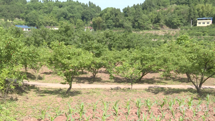 微信圖片_20210517171426.png
