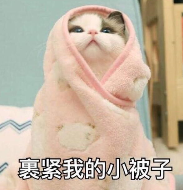 裹緊小杯子.png