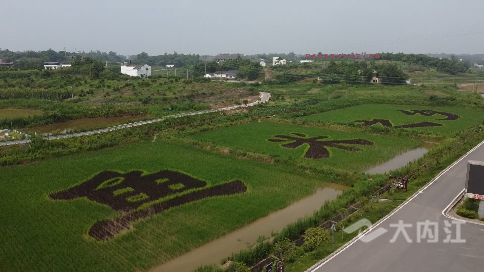 微信圖片_20210624164708.jpg