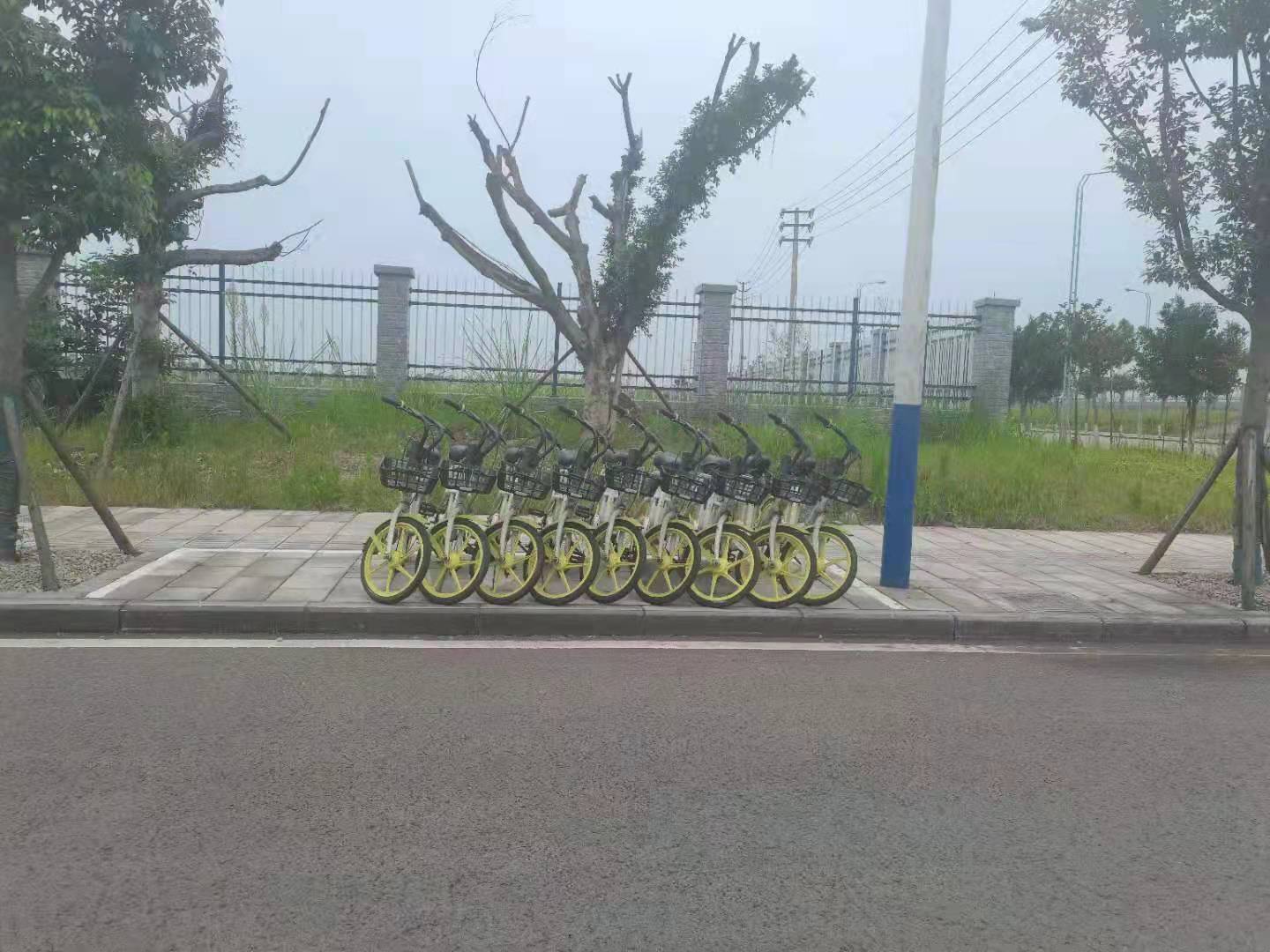 222.jpg