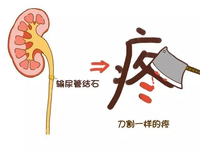 圖1.jpeg