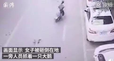 圖片4.png