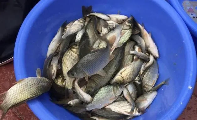 圖片