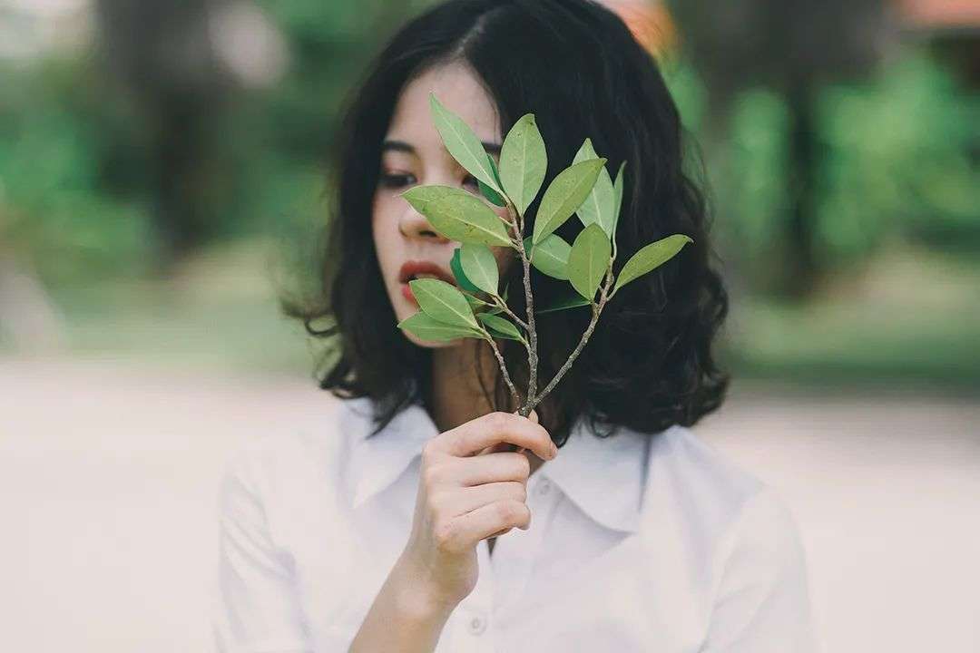 圖片