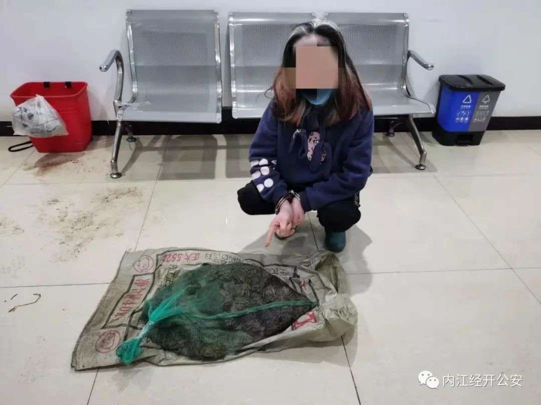 圖片