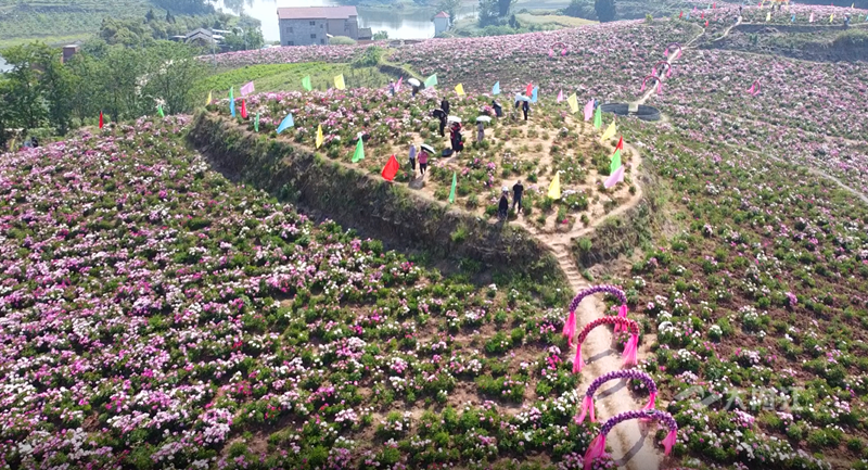 微信截圖_20220411092427.png