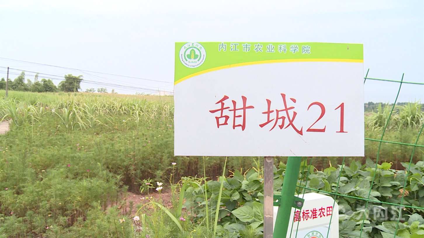 微信截圖_20220805101033.png